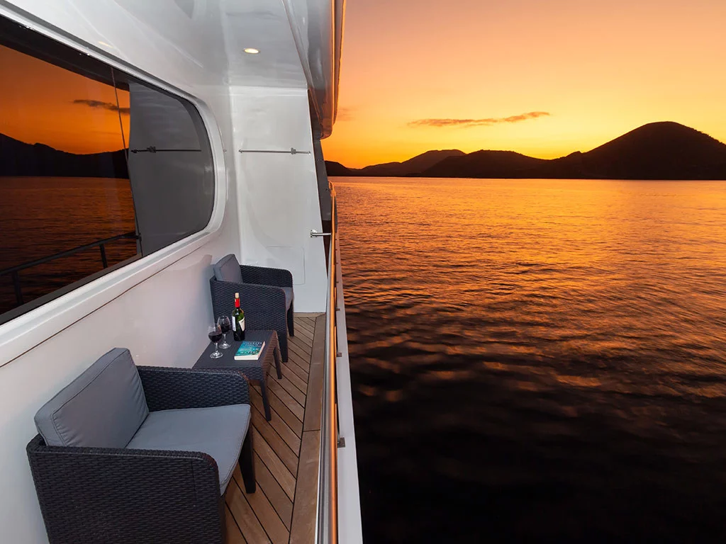Power Cat - Petrel Cabin (Petrel)  - 16