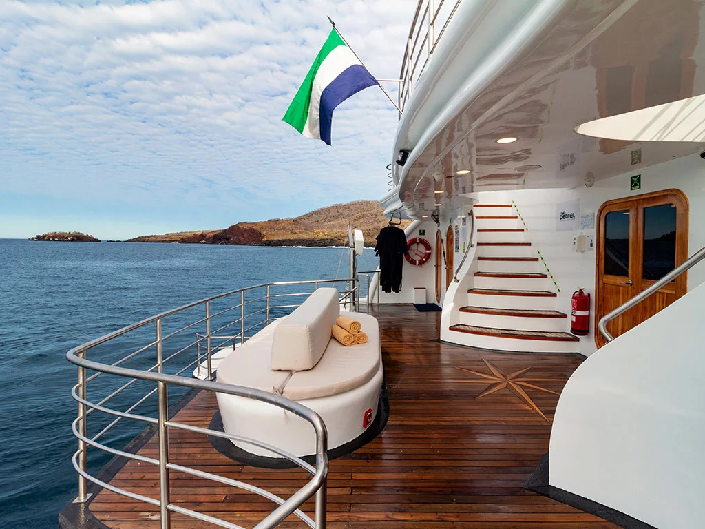 Power Cat - Petrel Cabin (Petrel)  - 22