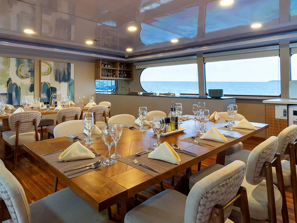 Power Cat - Petrel Cabin (Petrel)  - 11