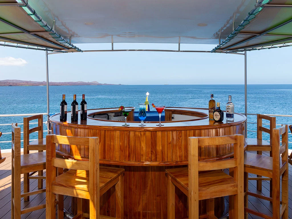 Power Cat - Petrel Cabin (Petrel)  - 4