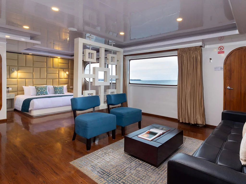 Power Cat - Petrel Cabin (Petrel)  - 12