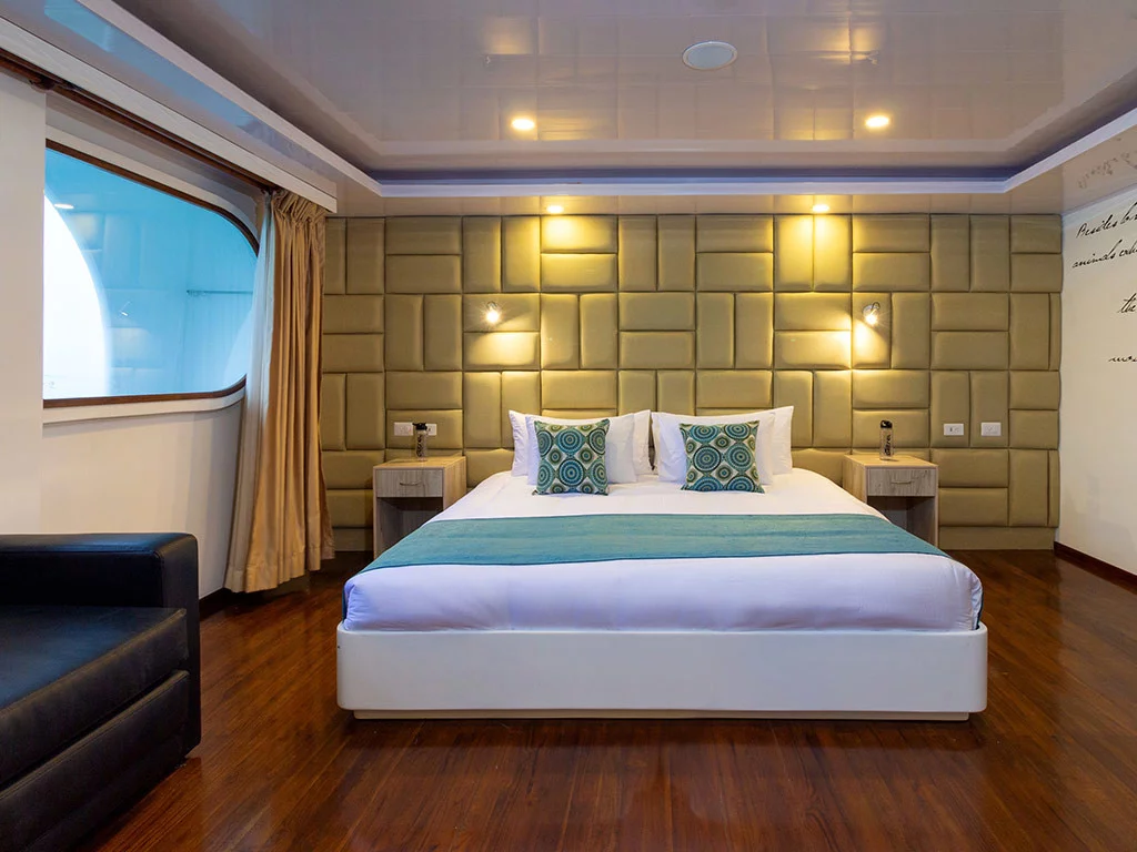 Power Cat - Petrel Cabin (Petrel)  - 2