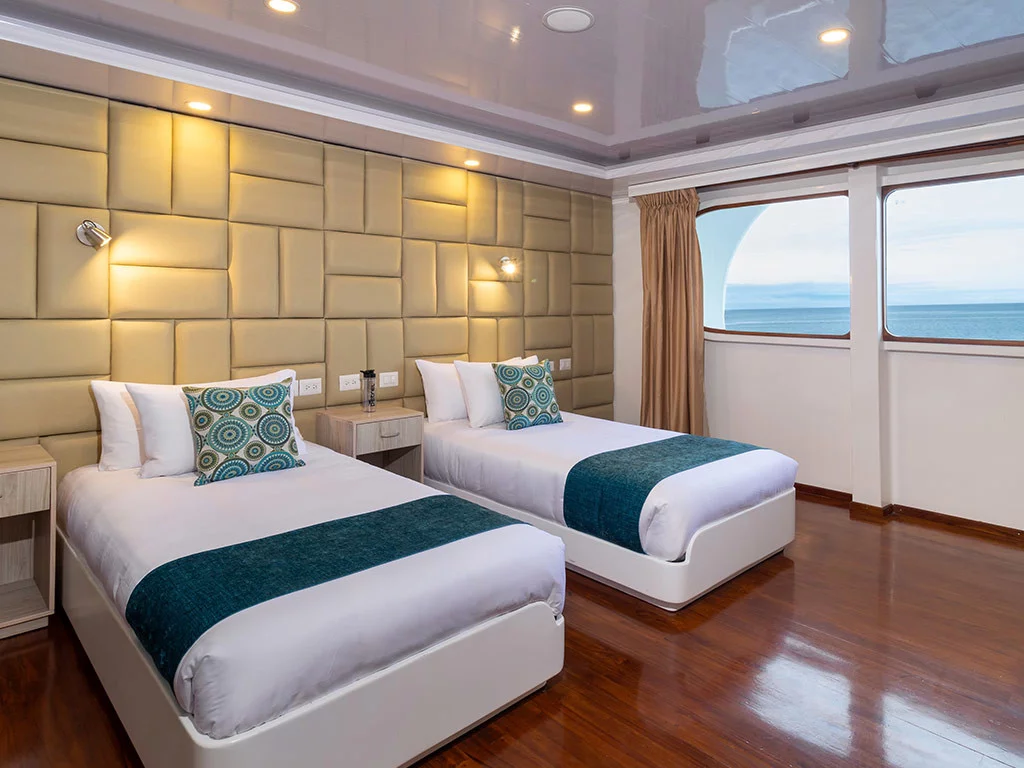 Power Cat - Petrel Cabin (Petrel)  - 9