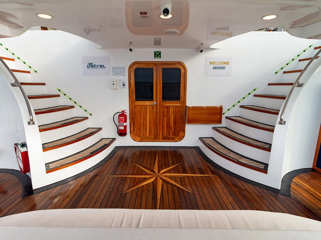 Power Cat - Petrel Cabin (Petrel)  - 1