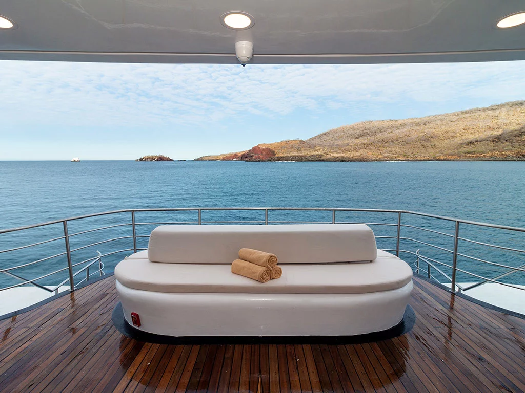 Power Cat - Petrel Cabin (Petrel)  - 14
