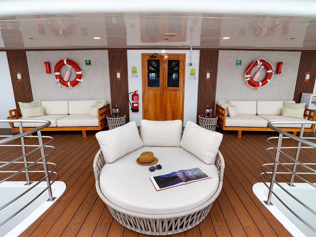 Power Cat - Petrel Cabin (Petrel)  - 21