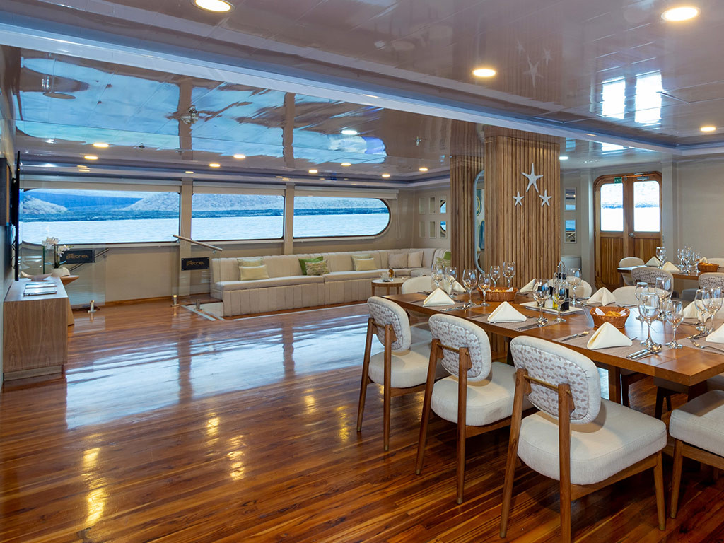 Photo #9 - Power Cat - Petrel Cabin (Petrel) in Galapagos - 61613