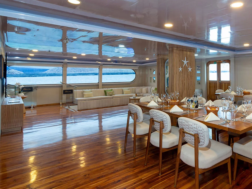 Power Cat - Petrel Cabin (Petrel)  - 8