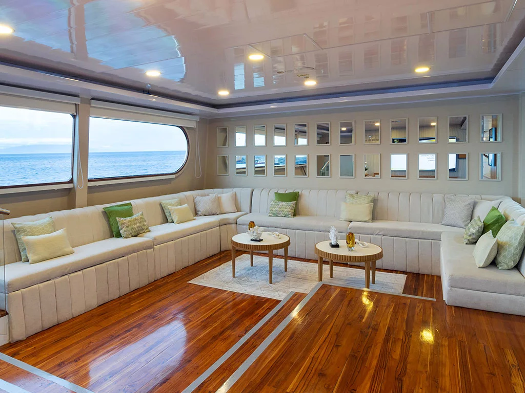 Power Cat - Petrel Cabin (Petrel)  - 6