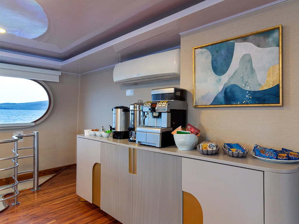 Power Cat - Petrel Cabin (Petrel)  - 19
