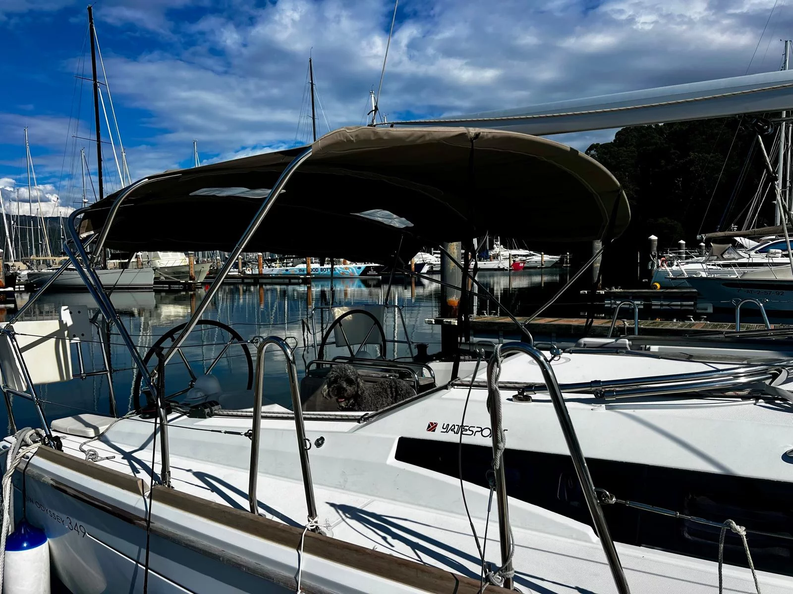 Sun Odyssey 349 (Waira)  - 9