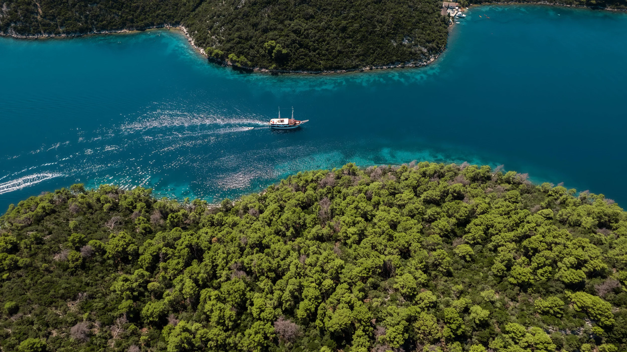 M/Y (Cesarica)  - 19