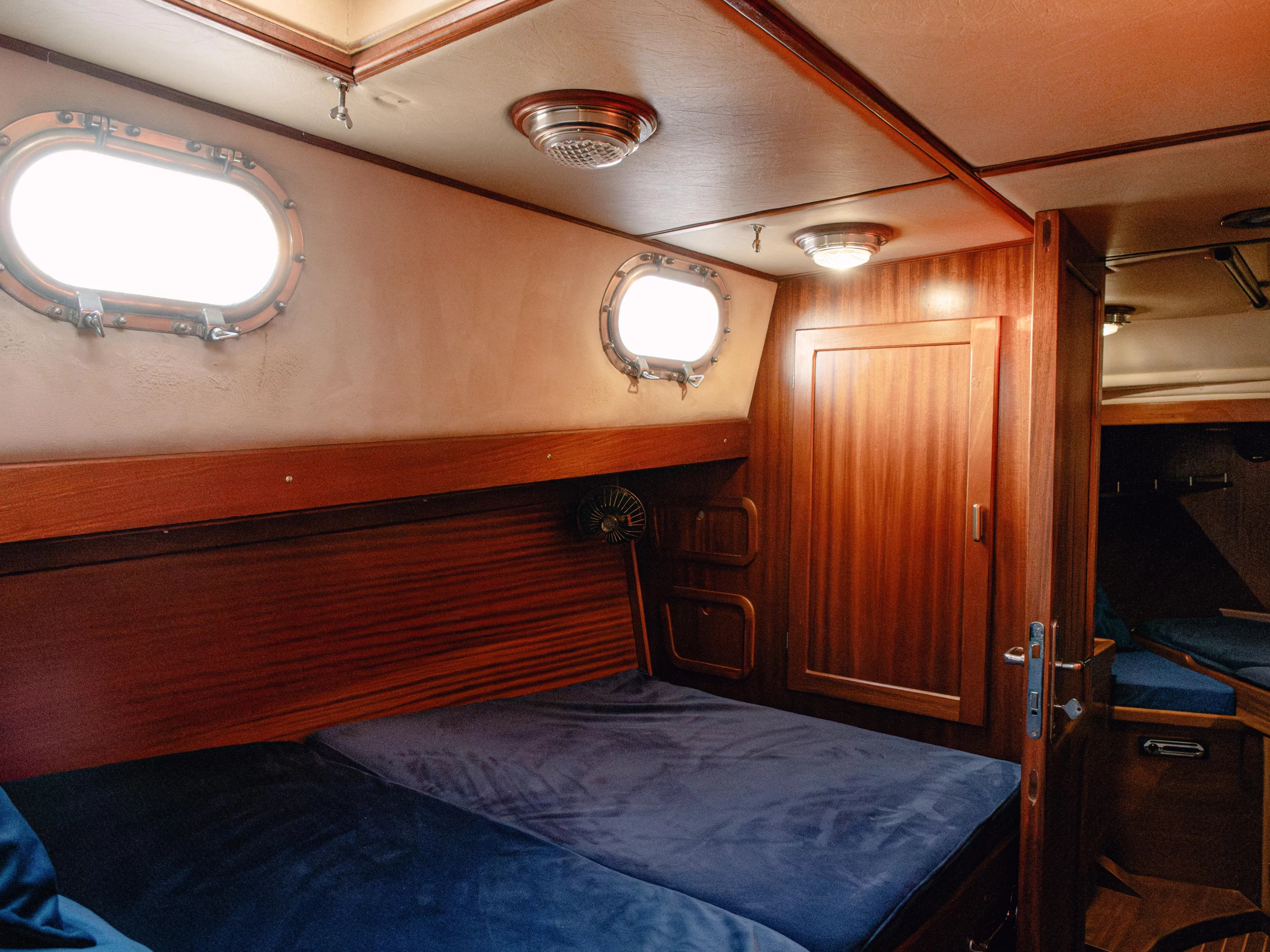 Calypsa (Calypsa) Interior image - 16