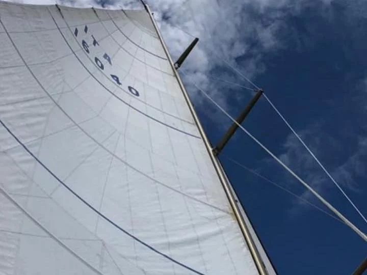 Carlini Sciarelli 62.5 (Clan II)  - 17