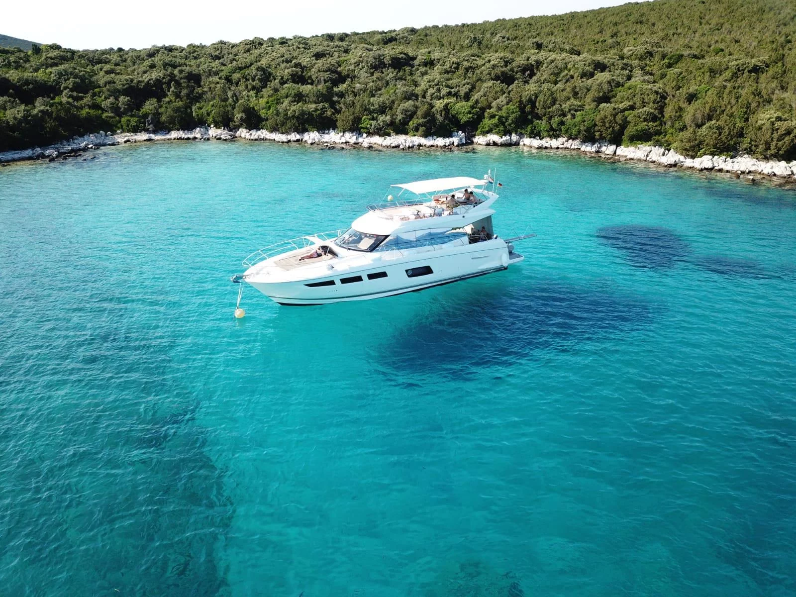 Prestige 550 Fly (Very Bery)  - 21