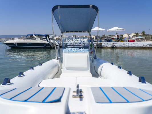 Photo #5 - Motorboat 6 (Joy) in Torre Canne - 61561