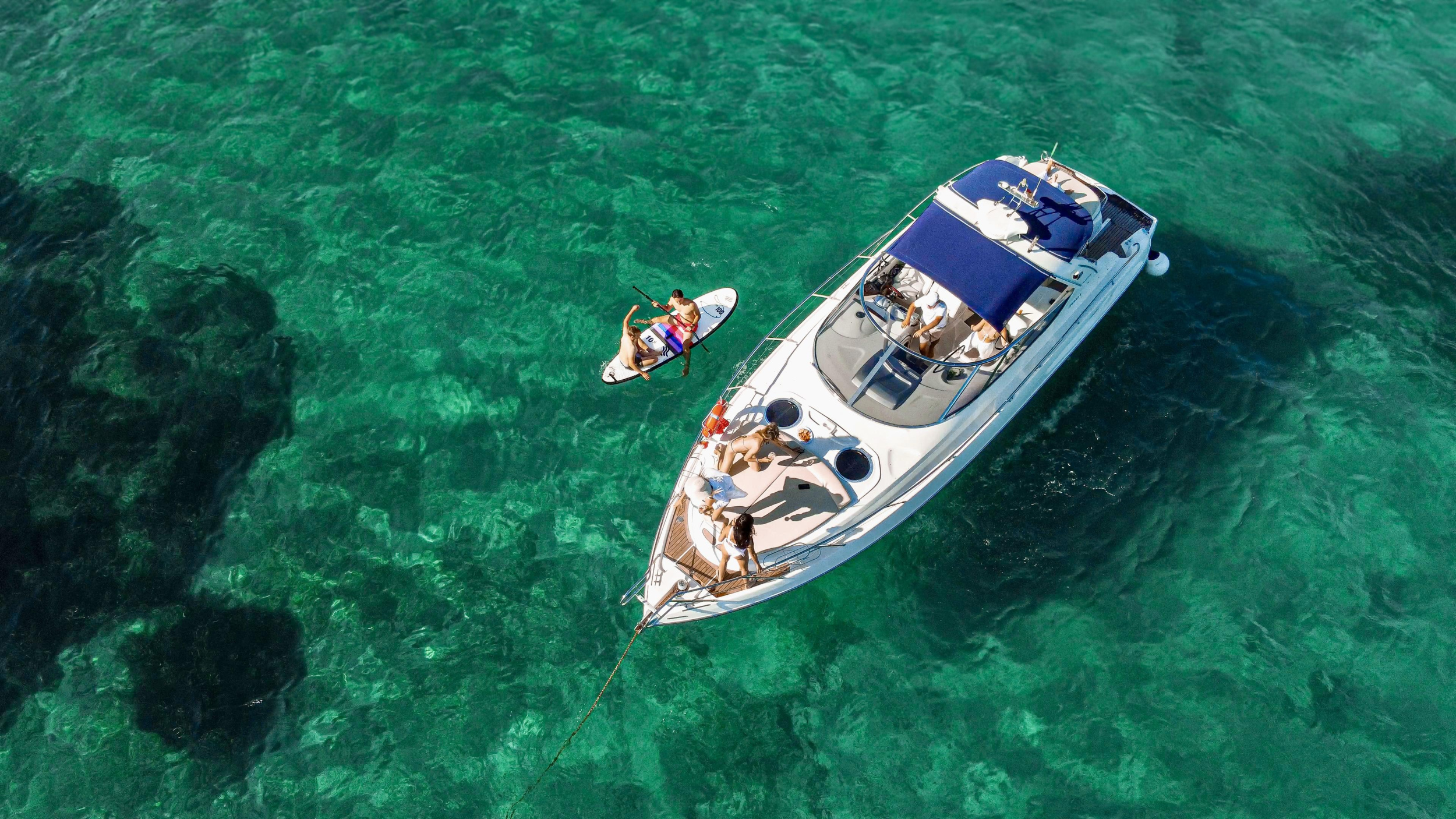 Photo #11 - Cranchi Endurance 41 (Sparkling Boat) en Portales Nous - 63261