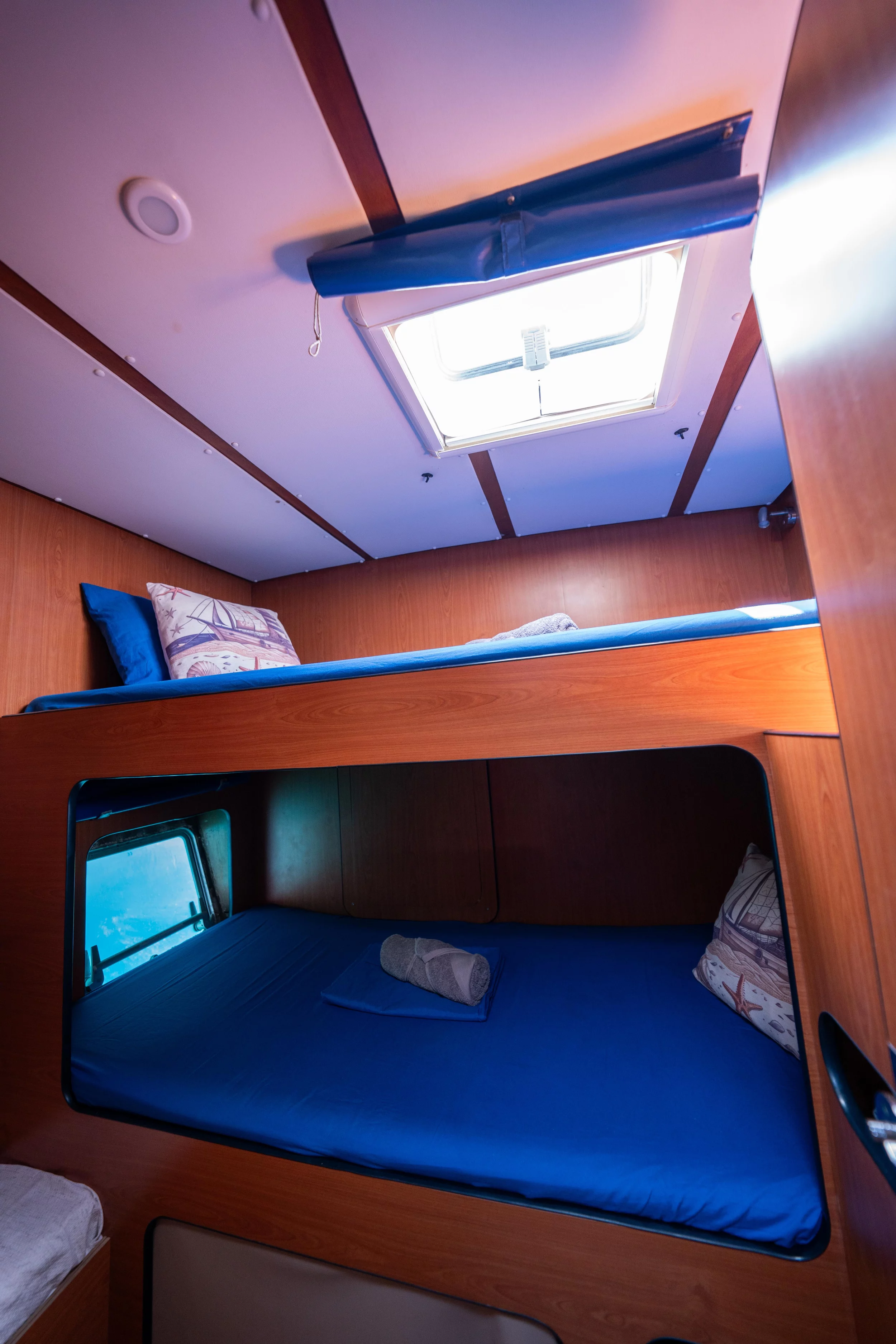 Lagoon Switch 570 (Faro)  - 8