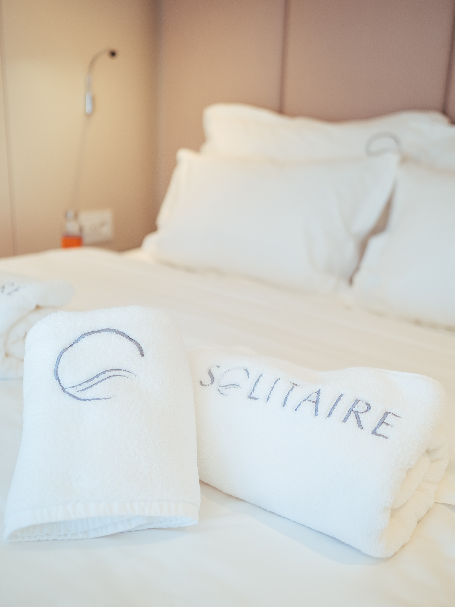 Photo #20 - Sunreef 50 (SOLITAIRE) in Kastela - 12648