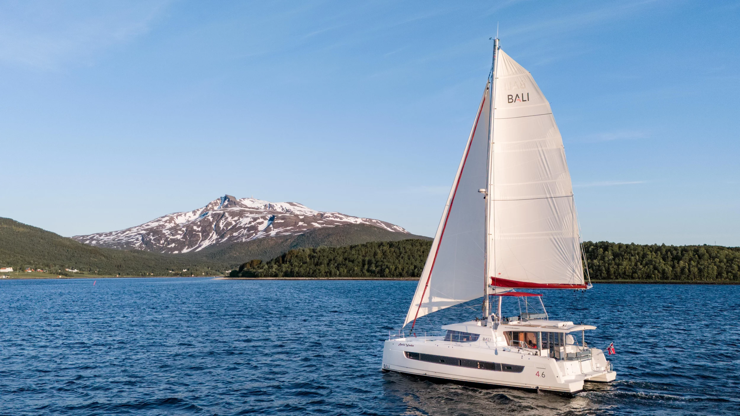 Bali 4.6 (Arctic Wonder)  - 3