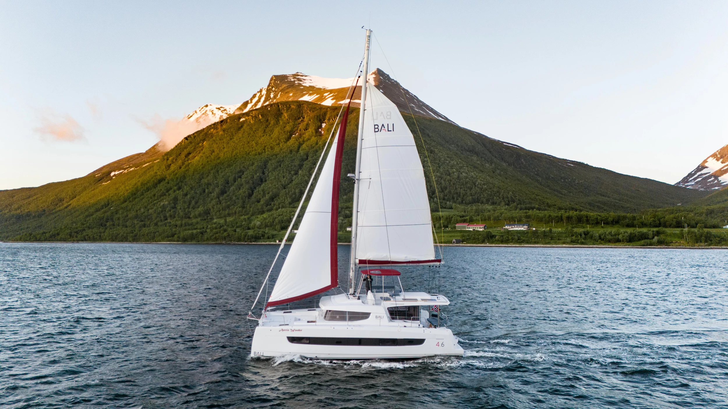 Bali 4.6 (Arctic Wonder)  - 5