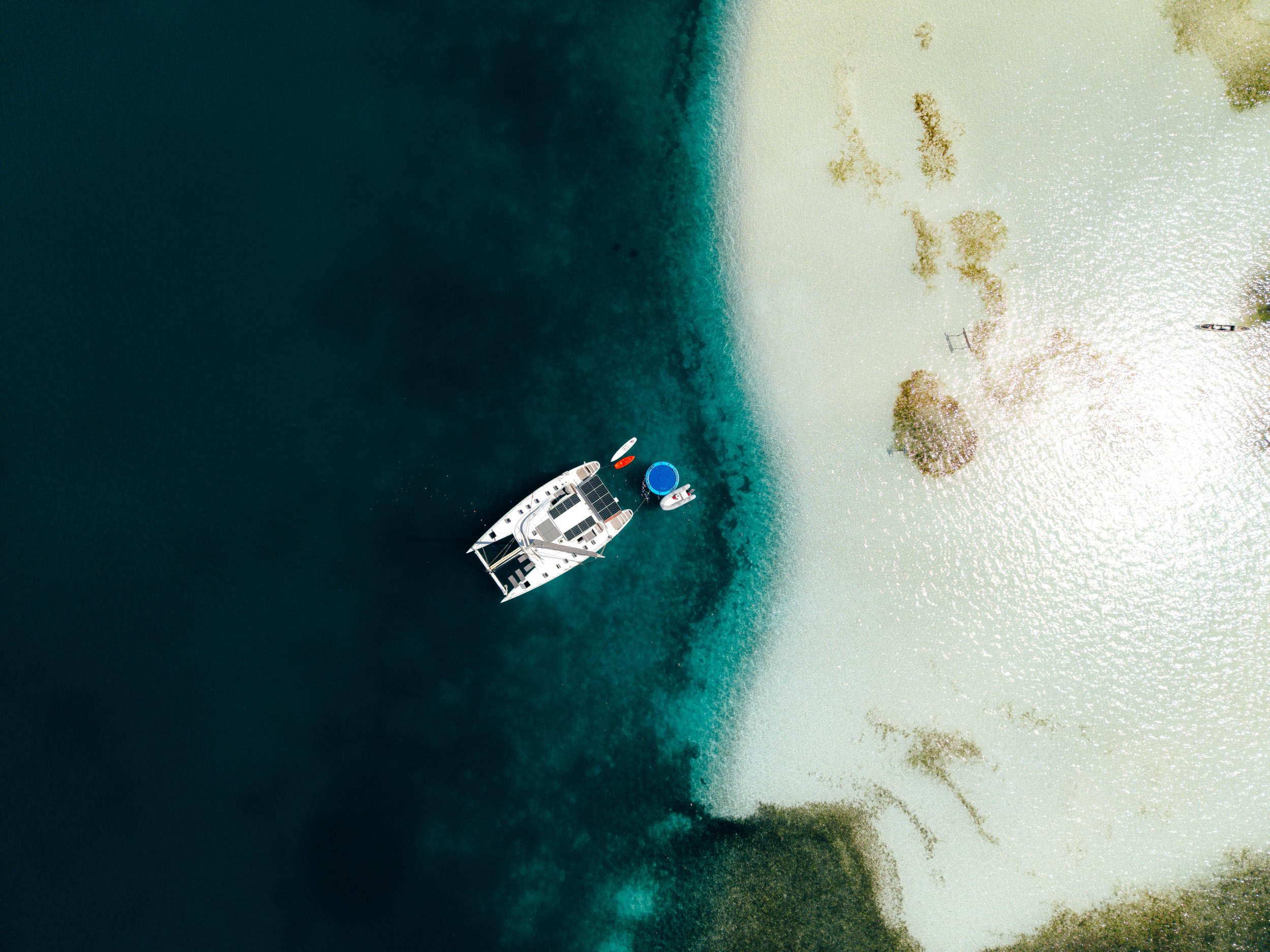 Photo #23 - Lagoon Switch 570 (Charcot) in San Blas - 63673