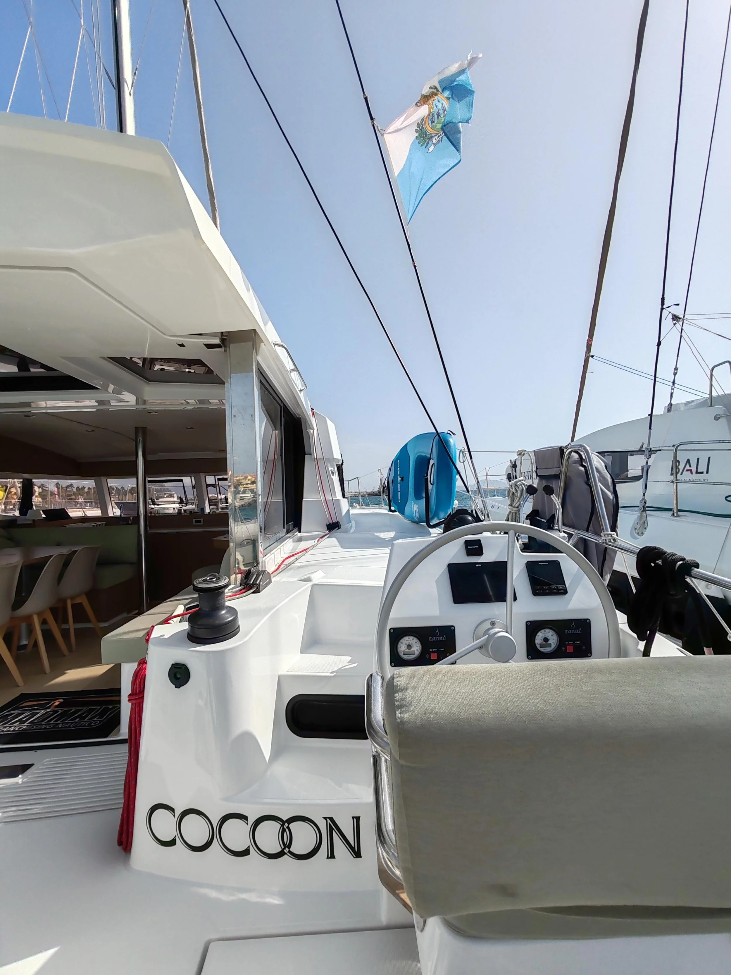 Bali Catsmart (COCOON)  - 45
