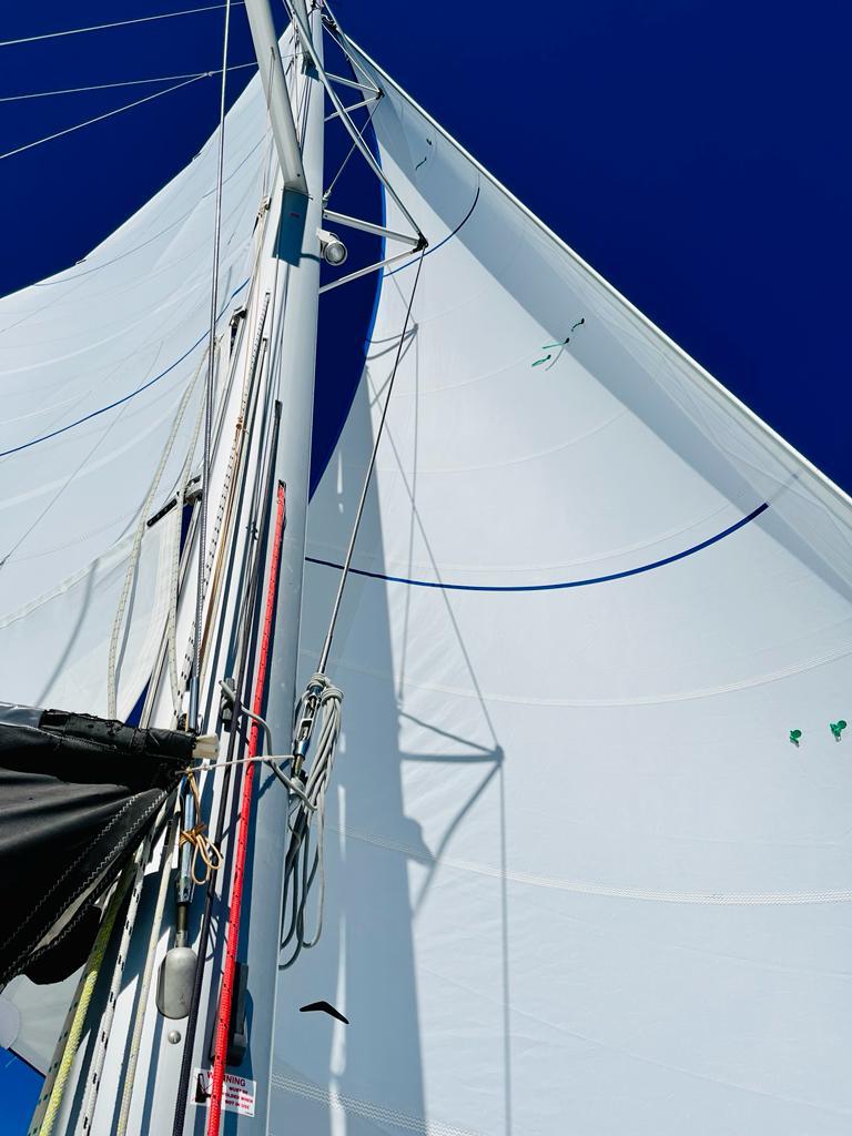 Photo #20 - Lagoon 450 SporTop (Belle) en Bas du fort - 10043