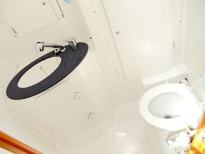 Beneteau Cyclades 39.3 (PHAROS) Interior - toilet (photo taken 2019) - 11