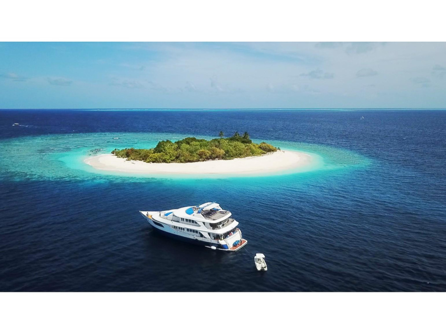 Photo #1 - Motoryacht 33M (M/Y Honors Legacy) in  - 12699