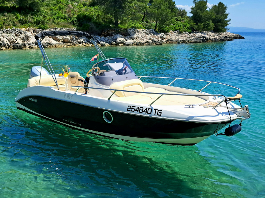 Dory - 1