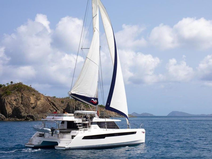 Photo #1 - Leopard 50 (Leopard 50) in Wickhams Cay II Marina - 14959
