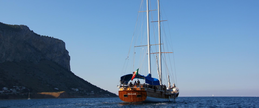 Pallas - 1