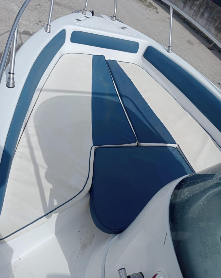 Dory - Blue - 2