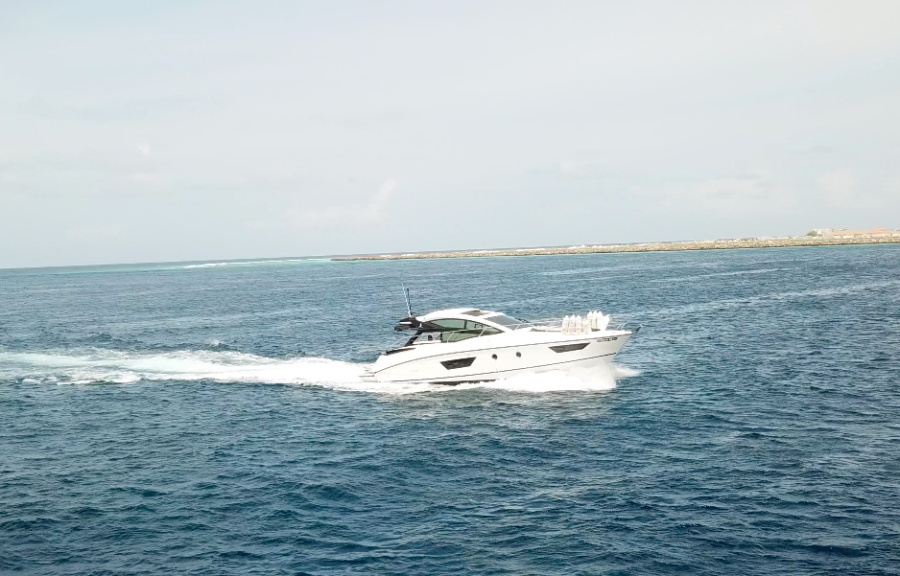 Island Cruise - 2