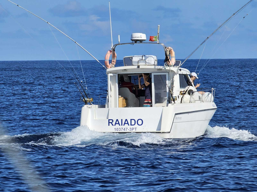 Raiado - 1
