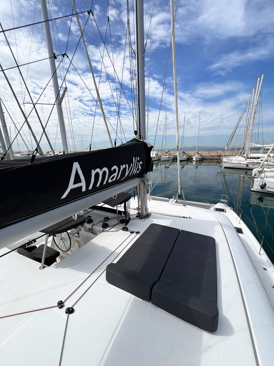 AMARYLLIS - 2