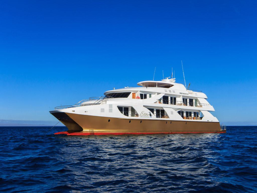 Photo #1 - Power Cat - Elite (Elite) in Baltra - 61611