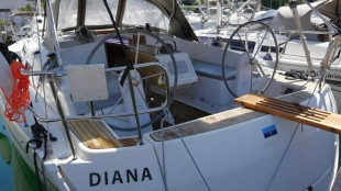 Diana - 2