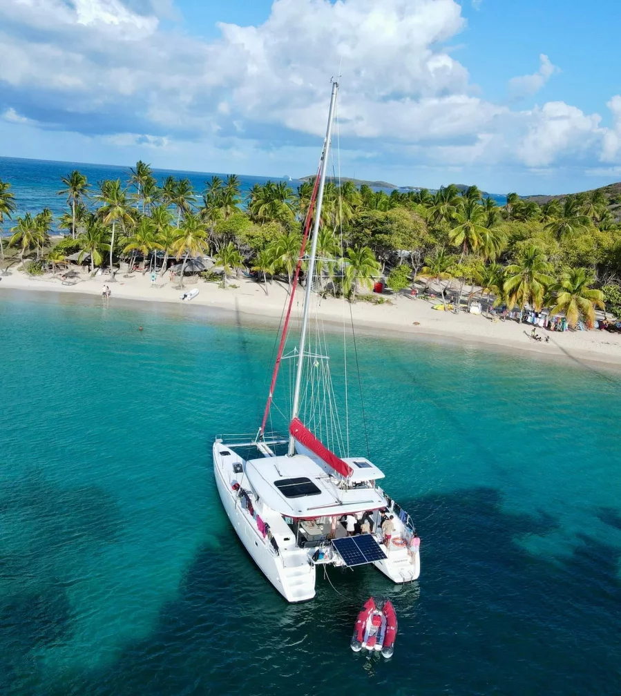 LAGOON 450 SPORTOP (JAMMIN)  - 1