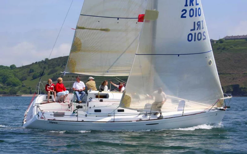FIRST 31.7 (2 CAB) (Orion)  - 6