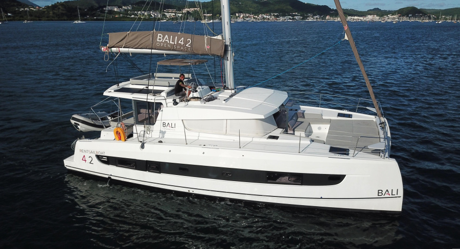 Photo #3 - BALI 4.2 (SAWUBONA) in Le Marin - 26913