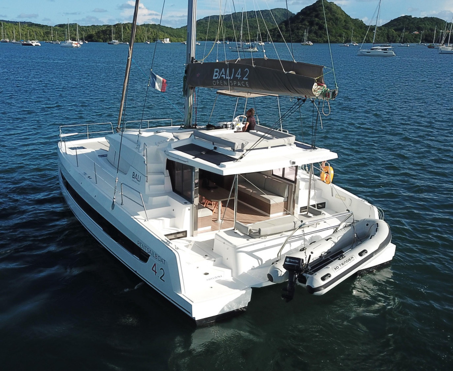 Photo #4 - BALI 4.2 (SAWUBONA) in Le Marin - 26913