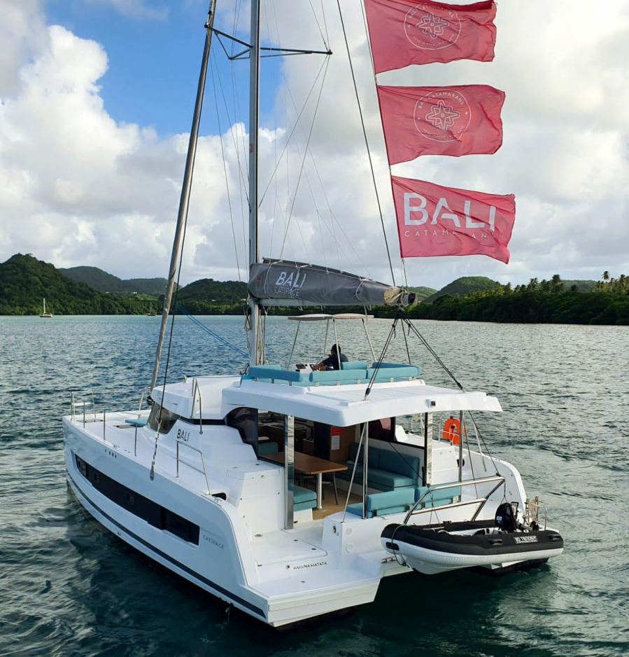 Photo #9 - BALI CATSPACE (HAKUNA MATATA) in Le Marin - 27032