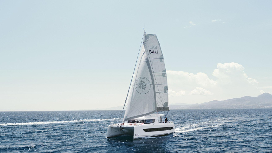 Photo #10 - BALI 3.8 CATSMART (ORE ET PHILIPPE) en Le Marin - 27142