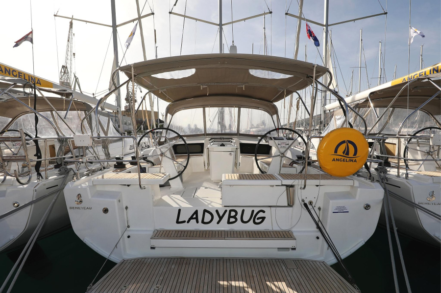 Ladybug - 2