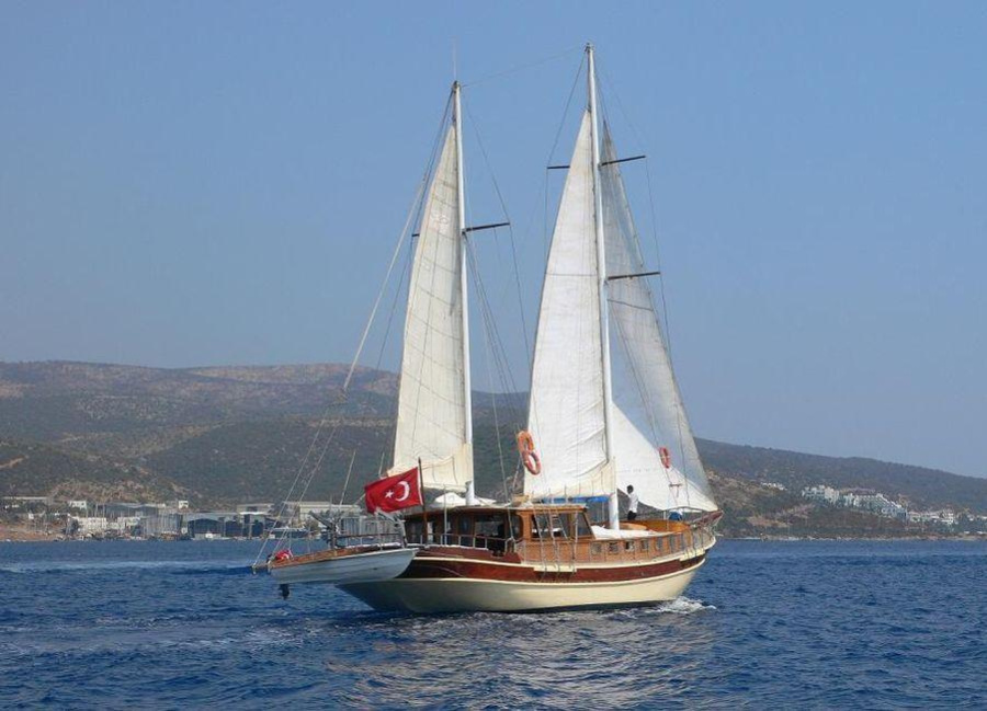 Photo #1 - Remo (Remo) in Milta Marina - 30397