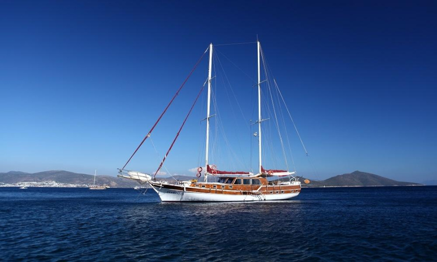 Photo #1 - Perrinita (Perrinita) en Milta Marina - 30398