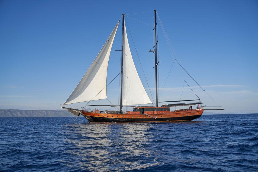 Stella Maris - 0