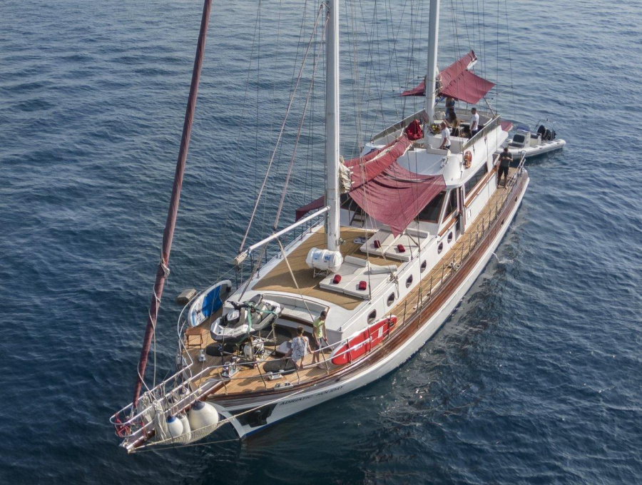 Photo #1 - Adriatic Holiday (Adriatic Holiday) en  - 37986